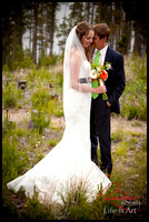Sarah & Sean's wedding Windy Point, CO. June 21, 2014